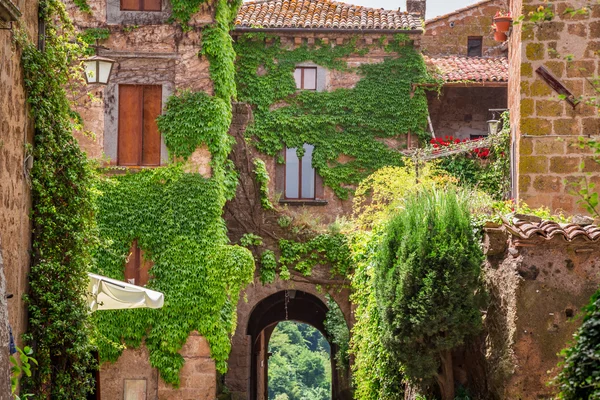 Antigua ciudad cubierta de hiedra en Toscana —  Fotos de Stock