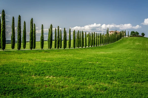 Straße mit Zypressen zum Agrotourismus in der Toskana — Stockfoto