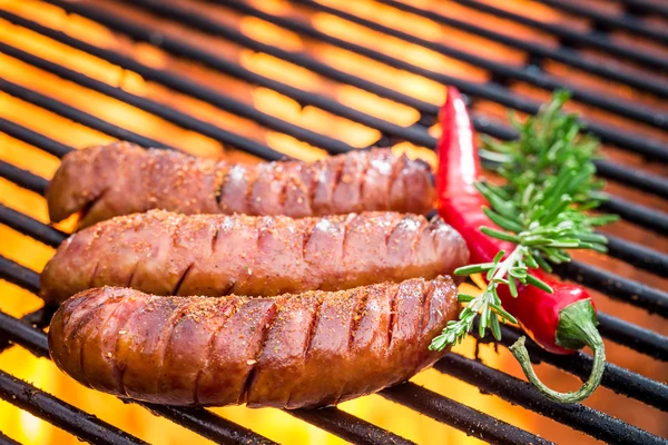 Hot sausage on the grill with fire — Stock Photo, Image