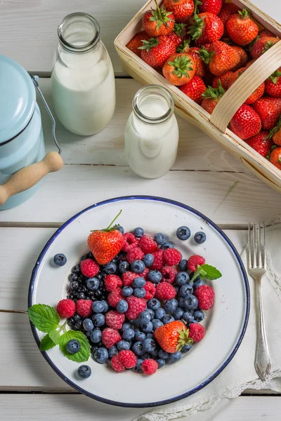 新鲜水果和牛奶 — 图库照片