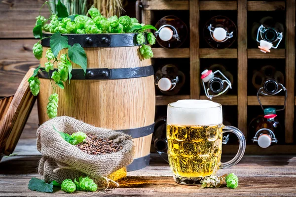 Golden color of beer and fresh green hops — Stock Photo, Image