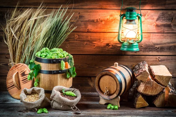 Cantina piena di ingredienti per la birra fatta in casa — Foto Stock