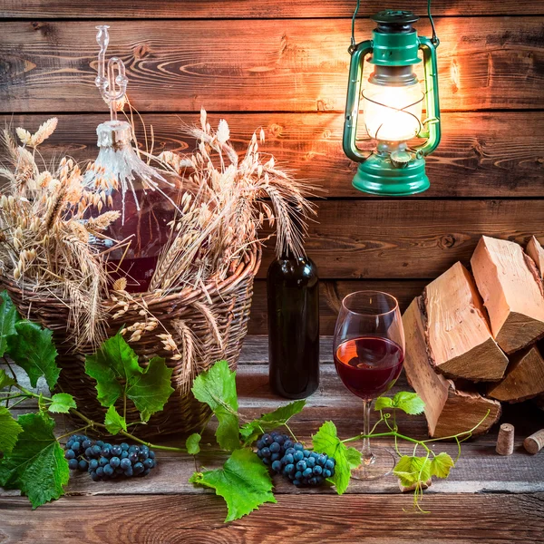 Hemlagad vingård i källare — Stockfoto