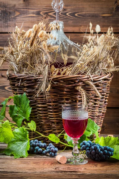 Gusto di vino rosso direttamente dal demijohn — Foto Stock