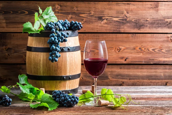 Bicchiere di vino rosso in una cantina di legno — Foto Stock