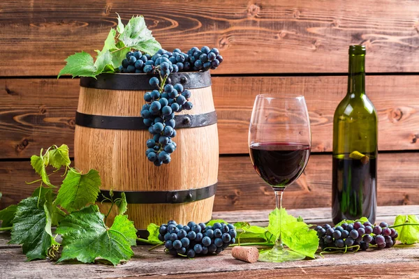 Red wine and grapes — Stock Photo, Image