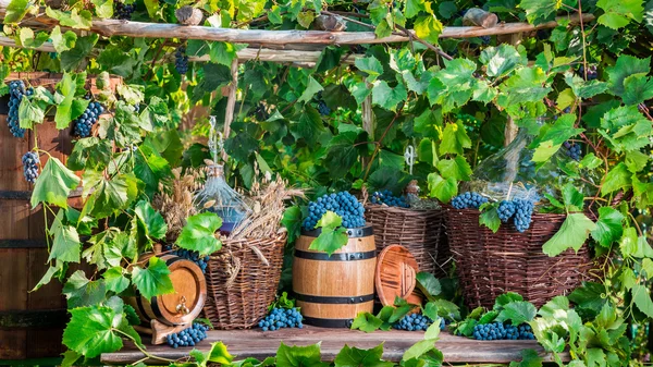 Сбор винограда в деревне в старинном стиле — стоковое фото