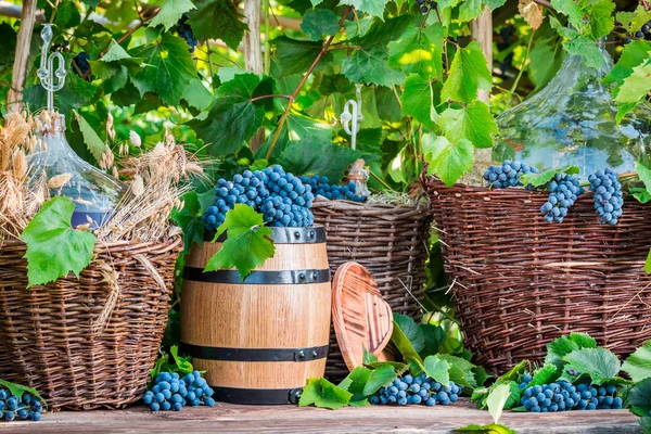 葡萄和红酒放在柳条编织的篮子 — 图库照片
