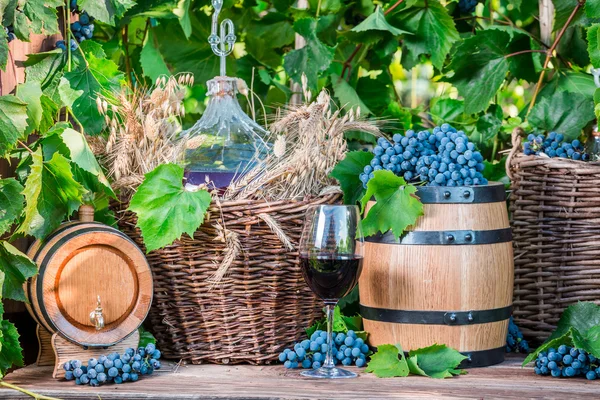 Красное вино во время сбора винограда в сельской местности — стоковое фото