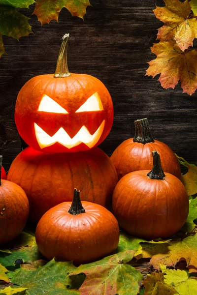 Pile de citrouilles avec des feuilles d'automne — Photo