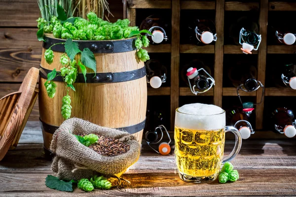 Golden beer in the gourmet cellar — Stock Photo, Image