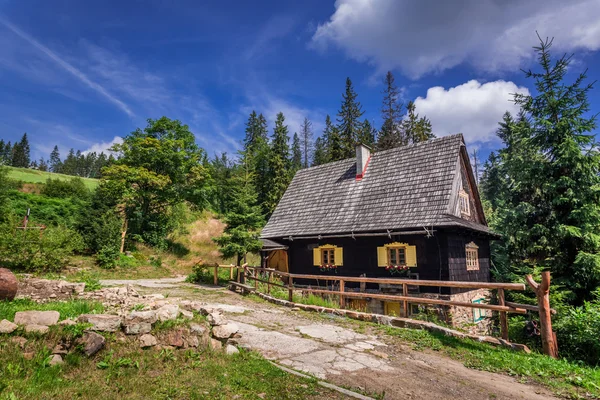 Μικρό ξύλινο σπίτι στα βουνά το καλοκαίρι — Φωτογραφία Αρχείου