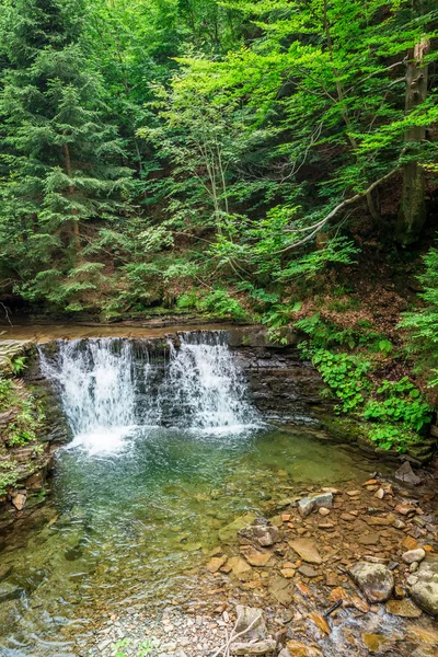 Cascade Water in the mountain forests — Stock Photo, Image