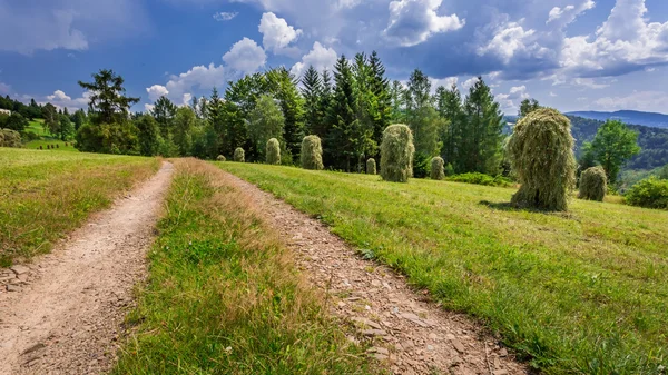 Заміська дорога між снопами сіна — стокове фото