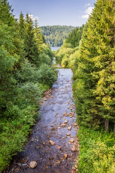 Berg rivier die stroomt in de Poel — Stockfoto