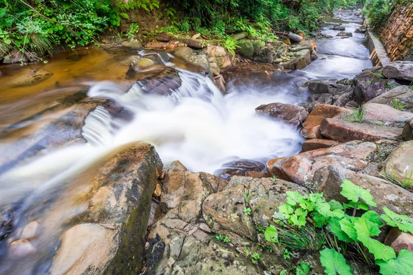 Rushing mountain stream in summer — Stock Photo, Image