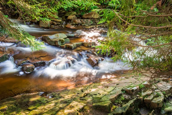 Horský potok mezi lesa — Stock fotografie