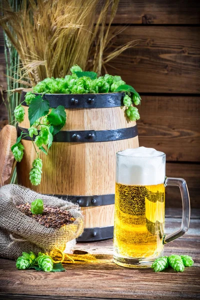 Goldene Farbe heller Biere — Stockfoto