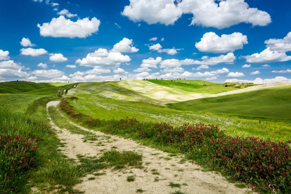 Landweg tussen groene heuvels — Stockfoto