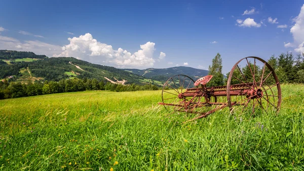 Piros rake egy mezőben a hegyekben — Stock Fotó