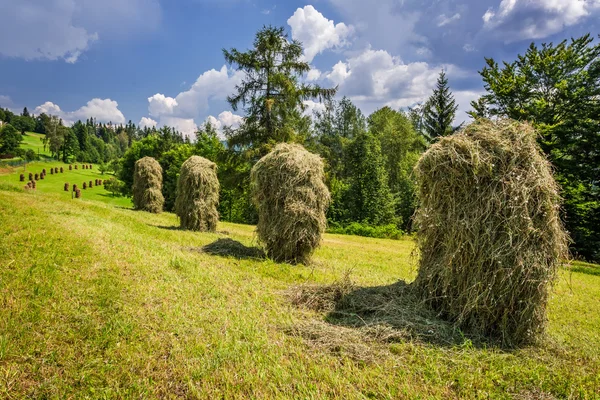 Mountain haymaking in the fields — Stock Photo, Image