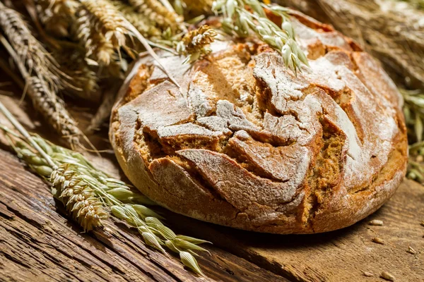 Tatlı Mısır gevreği kulaklı kepekli ekmek — Stok fotoğraf