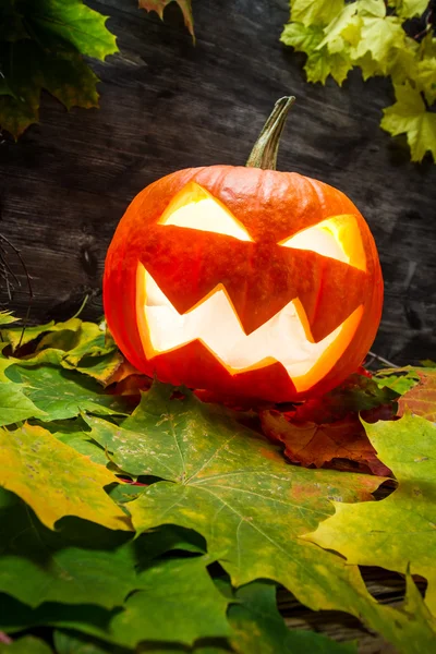 Zucca di Halloween incandescente sulle foglie autunnali — Foto Stock