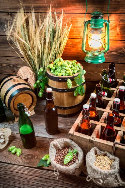 Tasting home-brewed beer in the cellar — Stock Photo, Image
