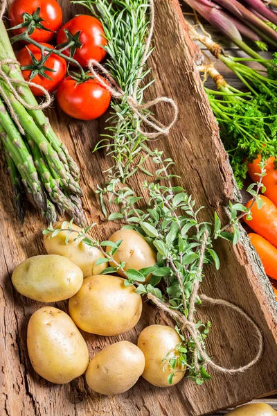 Various fresh vegetables on bark — Stock Photo, Image