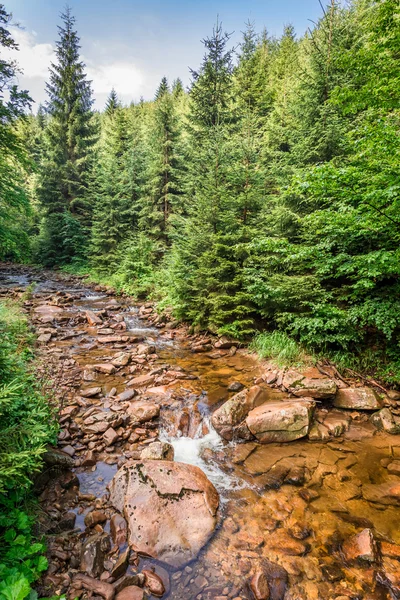 Beautiful mountain stream on a sunny summer day — Stock Photo, Image