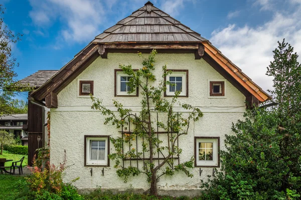 Petit chalet dans les Alpes avec un arbre — Photo