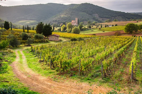 Veduta dei vigneti e della chiesa in Toscana — Foto Stock