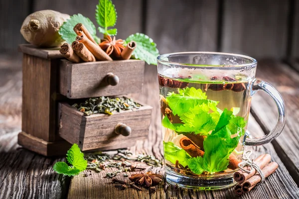 Green tea with cinnamon bark — Stock Photo, Image