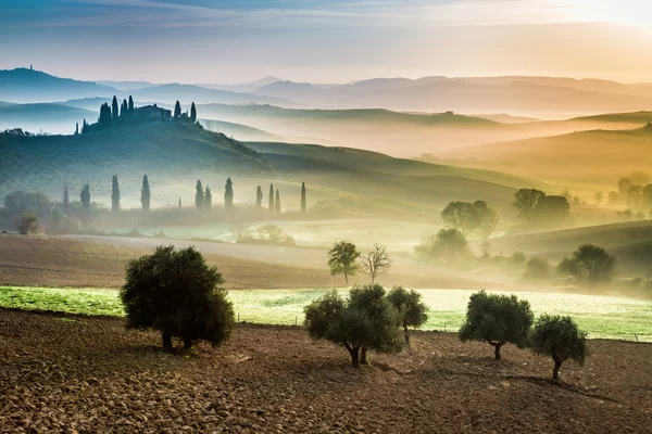 Sunrise over the green fields in Tuscany — Stock Photo, Image