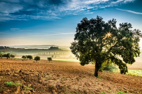 Nascer do sol sobre os campos verdes na Toscana — Fotografia de Stock