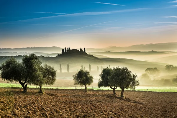 Soluppgång över de gröna fälten i Toscana — Stockfoto