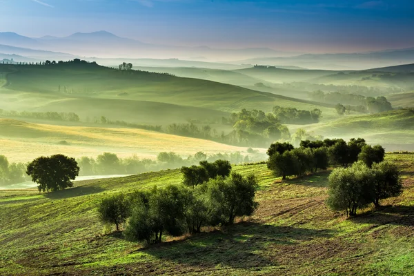 Zonsopgang boven de groene velden in Toscane — Stockfoto