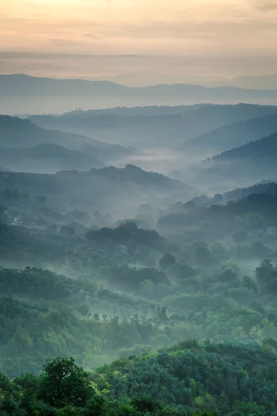 Morgondimma över dalen i Toscana — Stockfoto