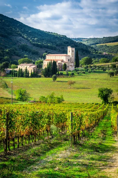 Velden van wijngaarden in de buurt van klooster in Toscane — Stockfoto