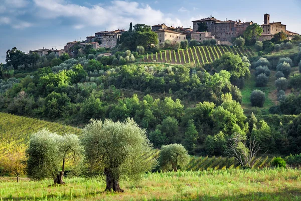 Blick auf ein kleines Dorf in der Toskana — Stockfoto