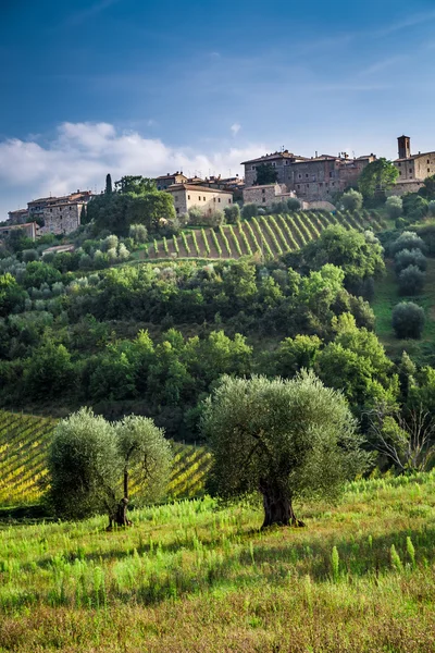 Veduta di un piccolo paese con vigneti e ulivi — Foto Stock