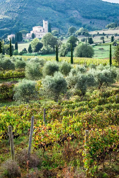 Veduta dei vigneti e del monastero in Toscana — Foto Stock