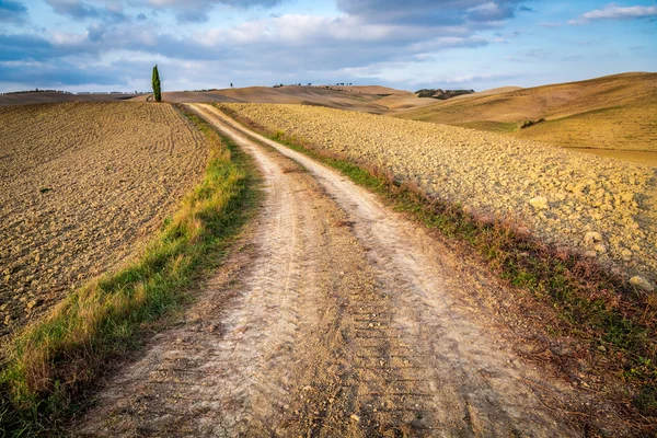 Estrada de terra entre campos marrons na Toscana — Fotografia de Stock
