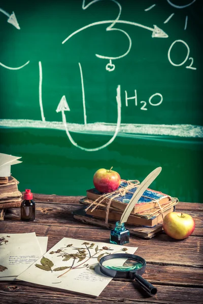 Enseñanza de biología en la escuela — Foto de Stock