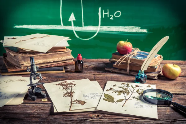 Teaching biology at vintage school — Stock Photo, Image