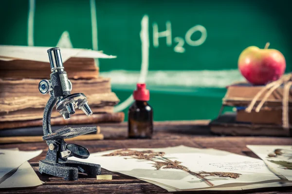 Estudo de plantas ao microscópio para aulas de biologia — Fotografia de Stock