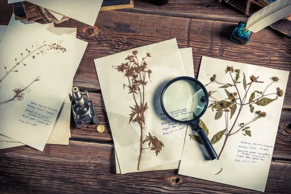 Biologieunterricht und Studium der Struktur von Pflanzen — Stockfoto