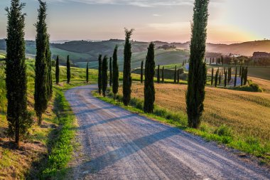 Sunset and winding road with cypresses in Tuscany clipart