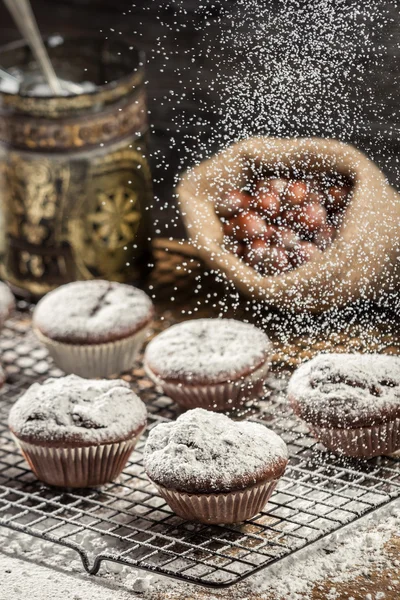 Cukier puder na świeże czekoladowe babeczki — Zdjęcie stockowe