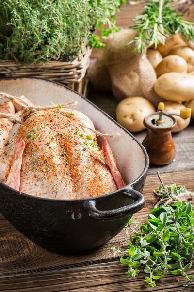 Closeup of chicken with spices and vegetables — Stock Photo, Image